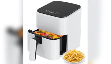 Best Budget Air Fryer under $100